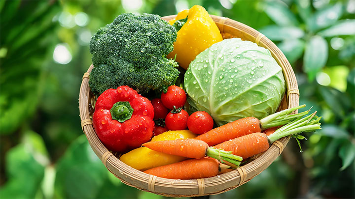 From Farm to Table: Premium Fresh Vegetables with Quality, Safety, and Natural Taste