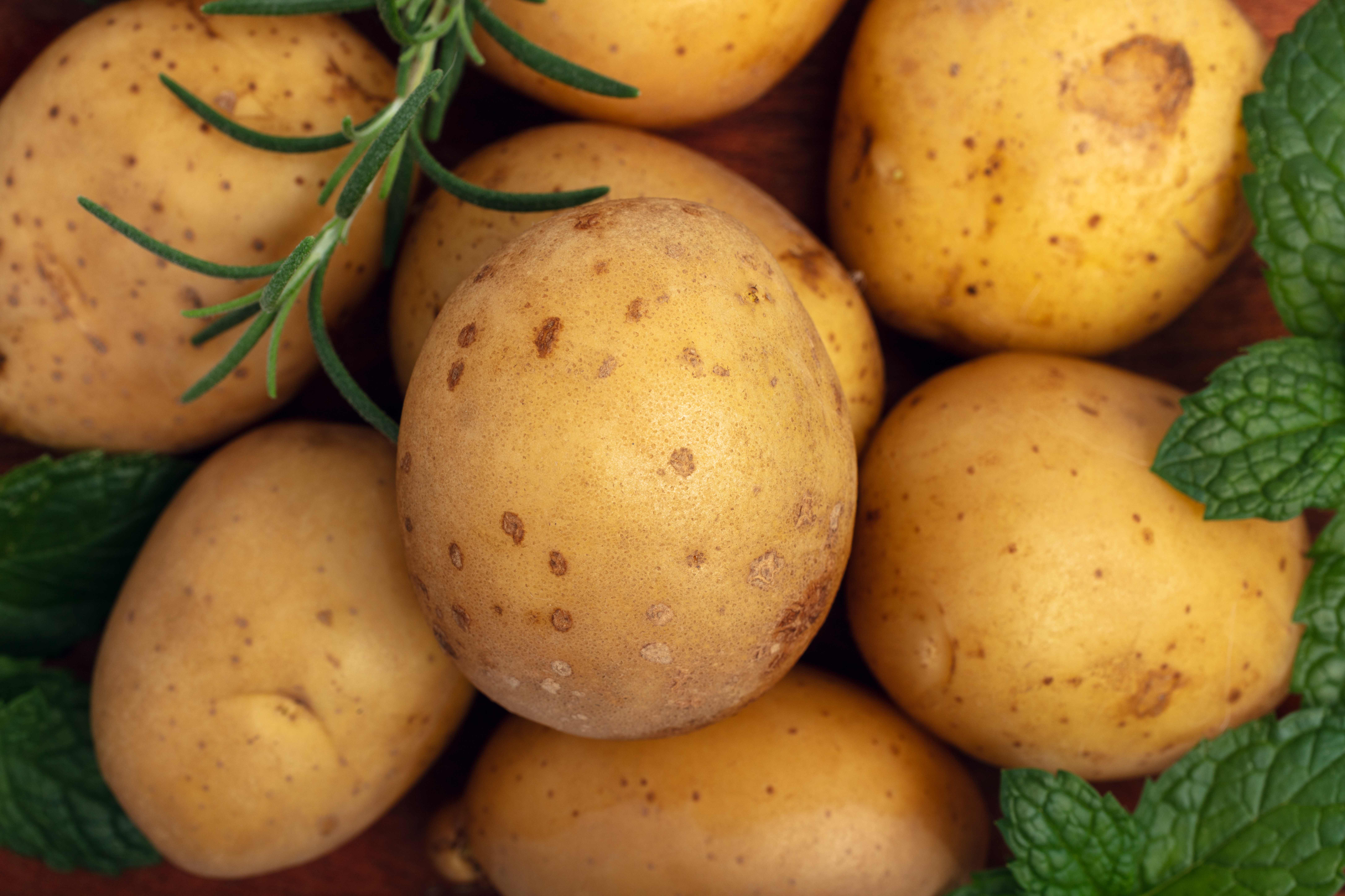 Potato