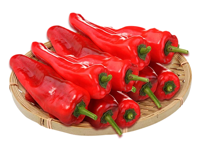 Red chili pepper