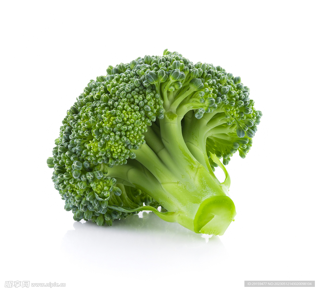Broccoli
