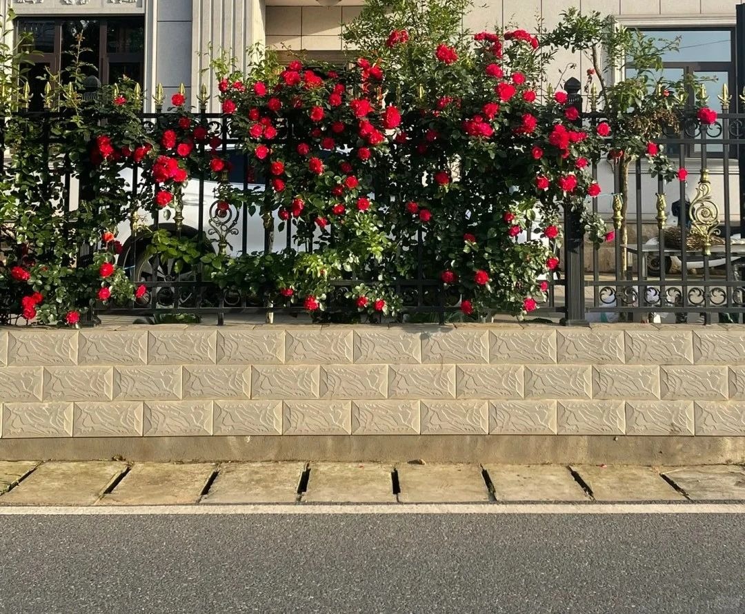 How to Choose Residential Wall Fence: A Practical Guide for International Trade