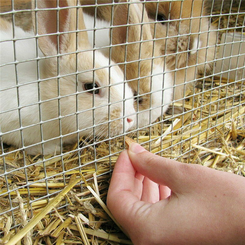  Animal Welded Wire Mesh