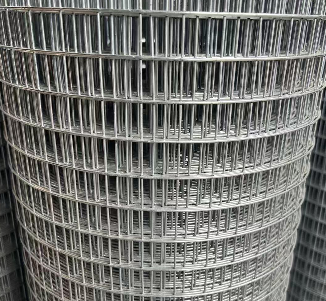 Electro Galvanized & Hot Dipped Galvanized Welded Wire Mesh Roll | Factory Supply for Construction, Fencing & Animal Enclosure