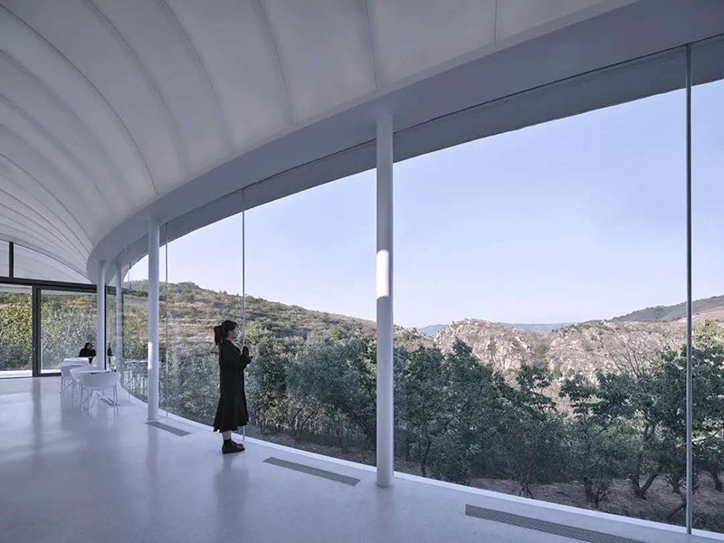Jumbo Structural Glass Systems
