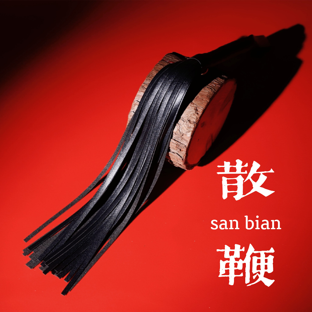 Leather mini whip, adult sex toy with tassels