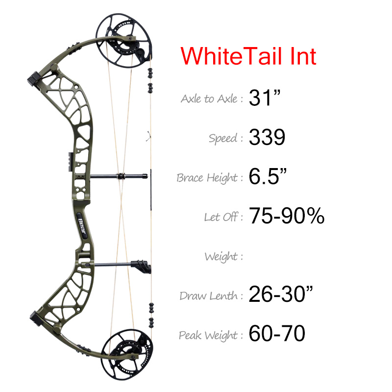 Bear Compound Bow WhiteTail Int