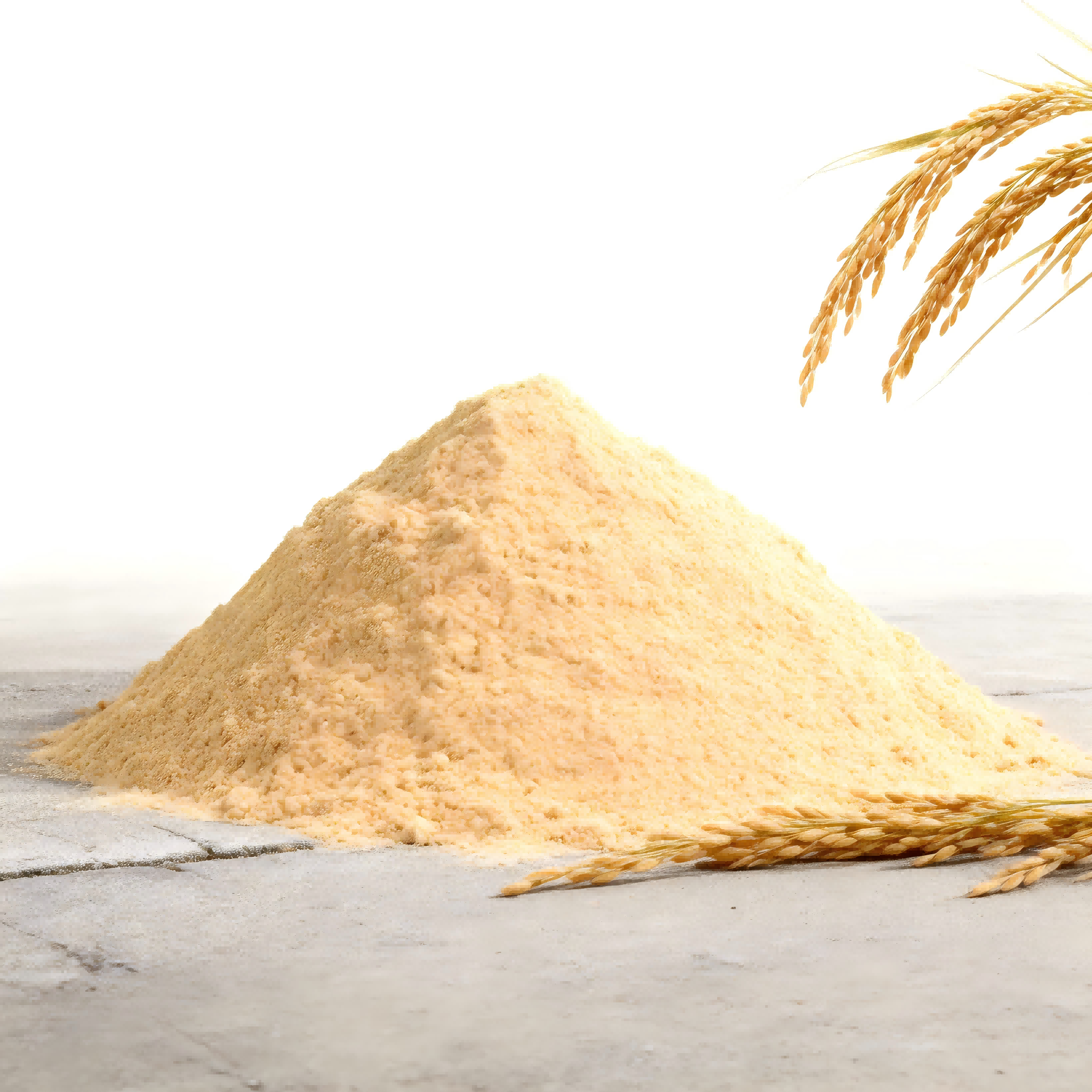Rice Bran Meal