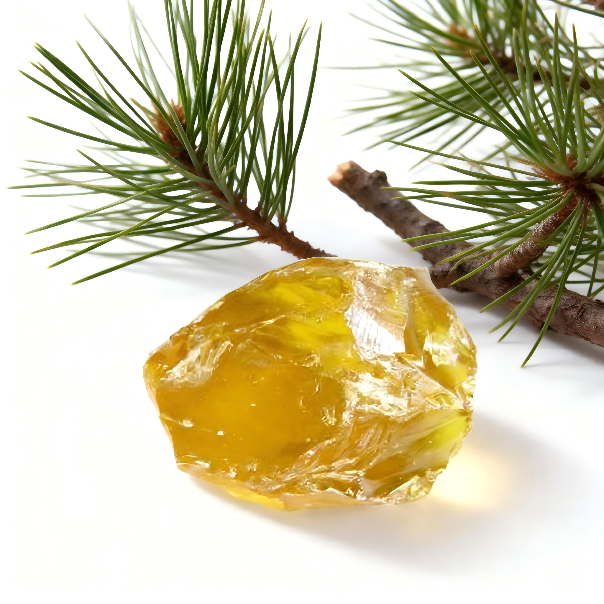 Gum Rosin