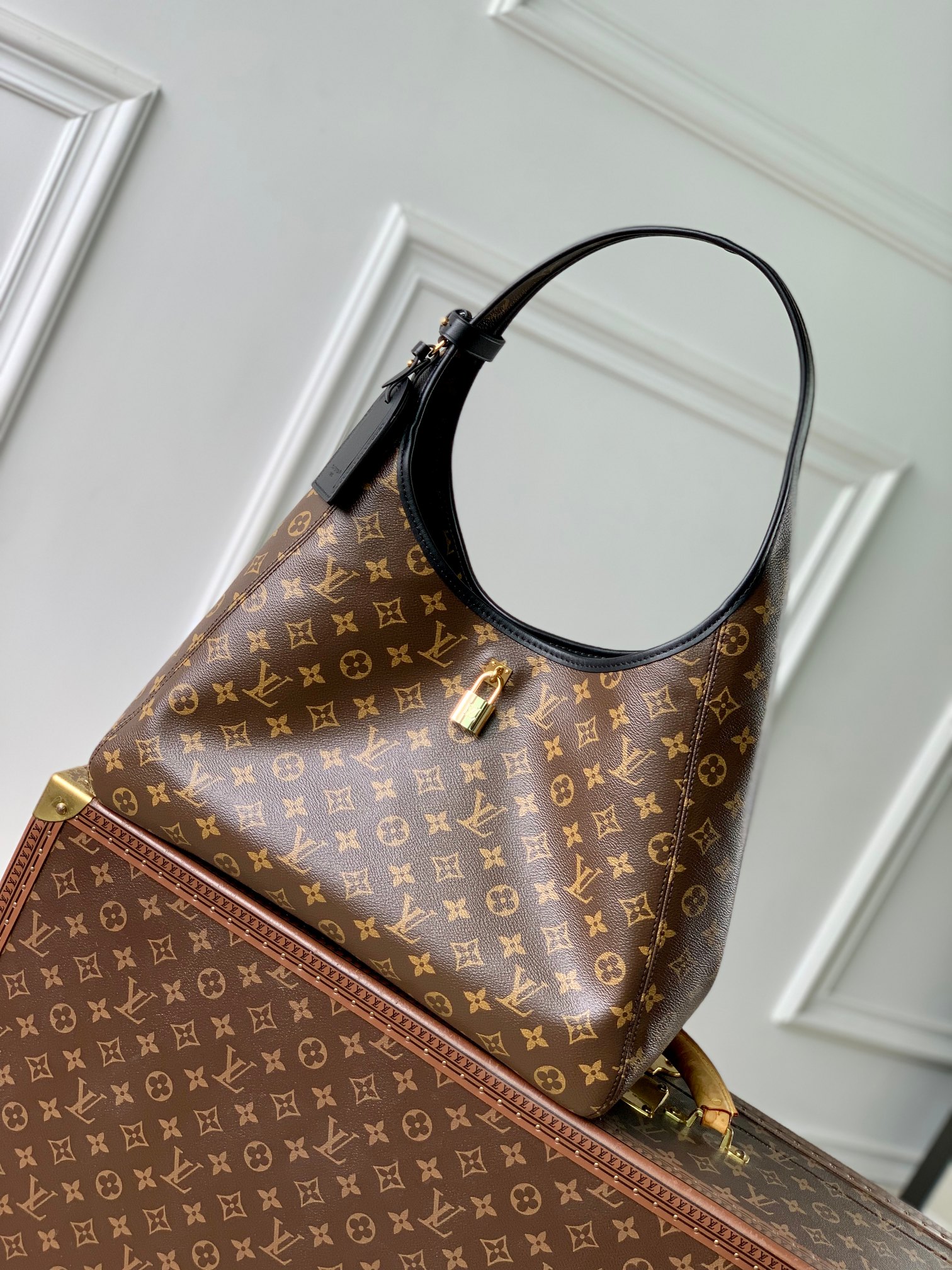  Louis Vuitton the drop腋下包