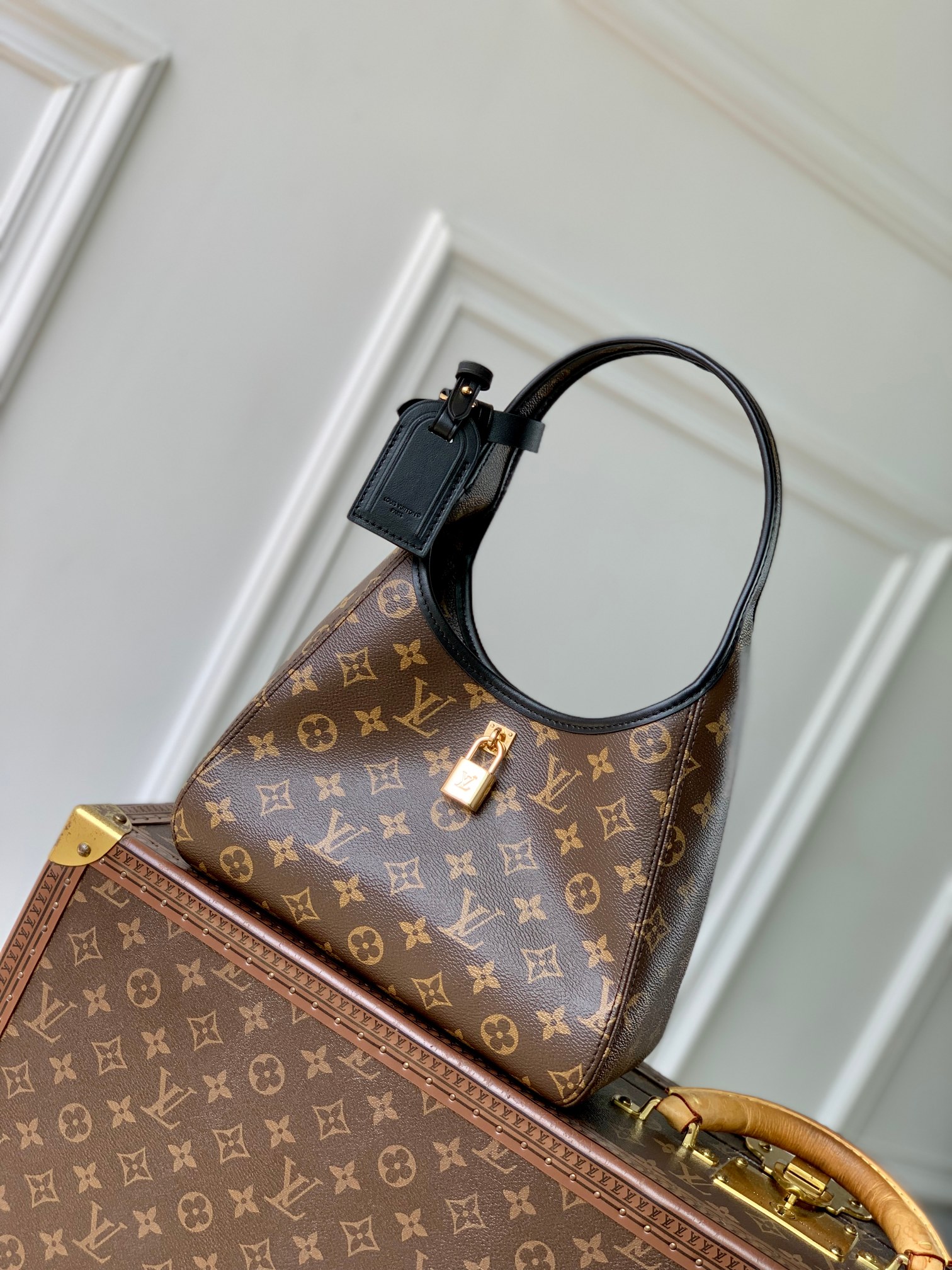  Louis Vuitton the drop腋下包