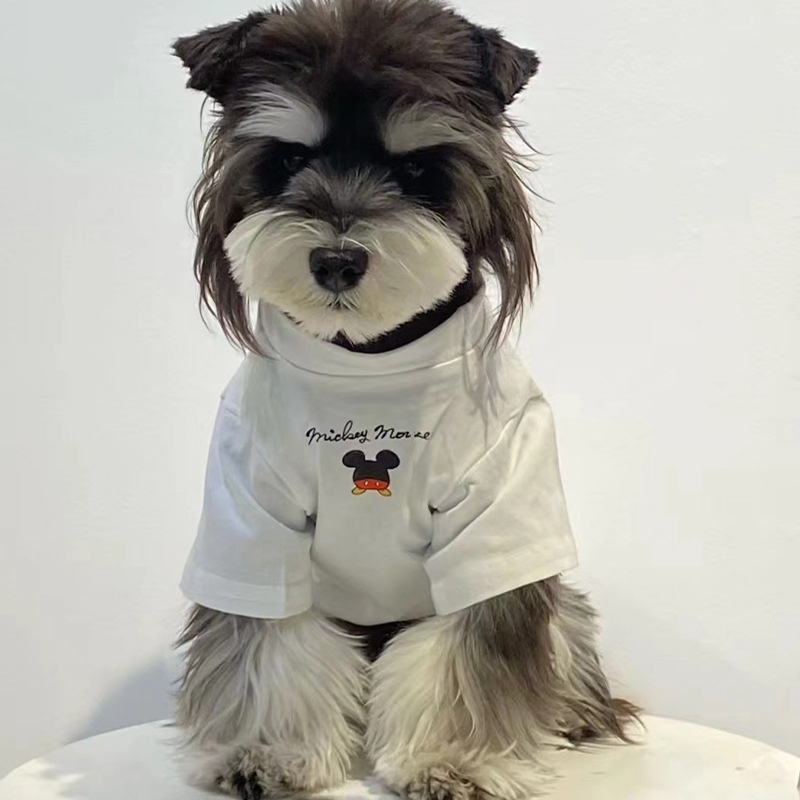 Pet clothes summer thin T-shirt (parent-child wear)