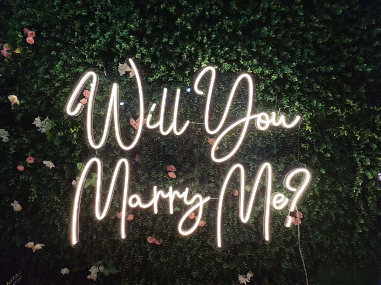 Will You Marry Me LED Neon Sign, Engagement Decor