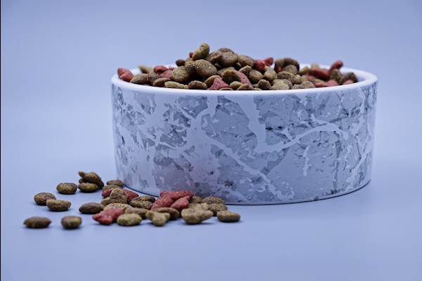 10 Popular Pet Food Brands Usually Referred By Veterinarians