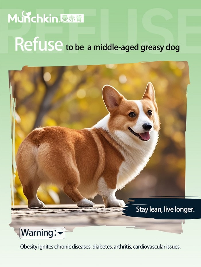 Canine obesity isn't simply about "overeating"