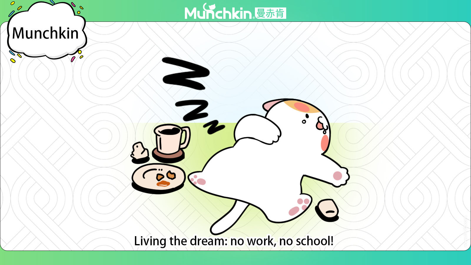 Ever Wonder What Cats Really Do All Day? Part 1 (Besides judging us, that is…)
