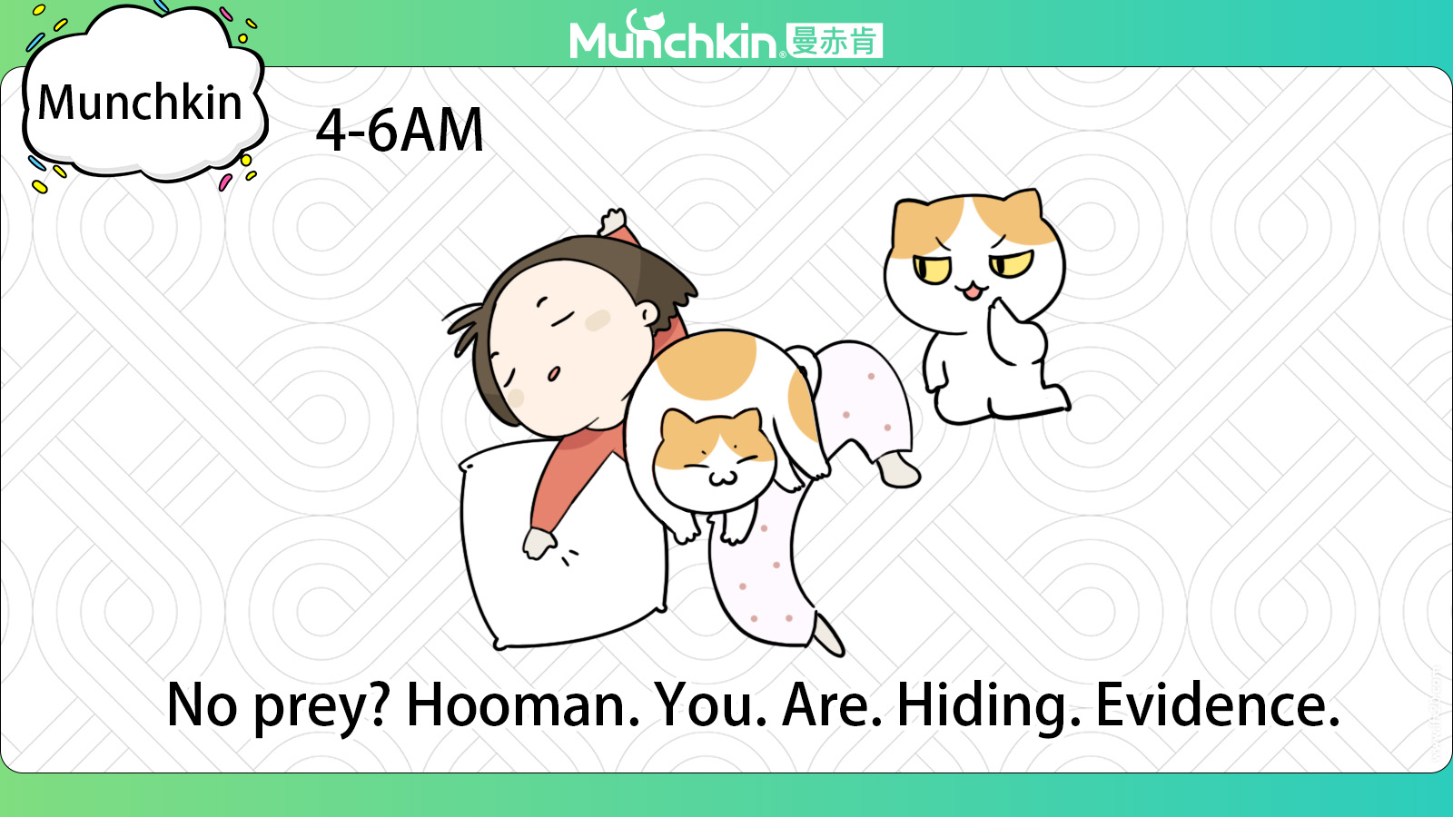 ​​Ever Wonder What Cats Really Do All Day?​​ - Part 2  (Besides judging us, that is…)