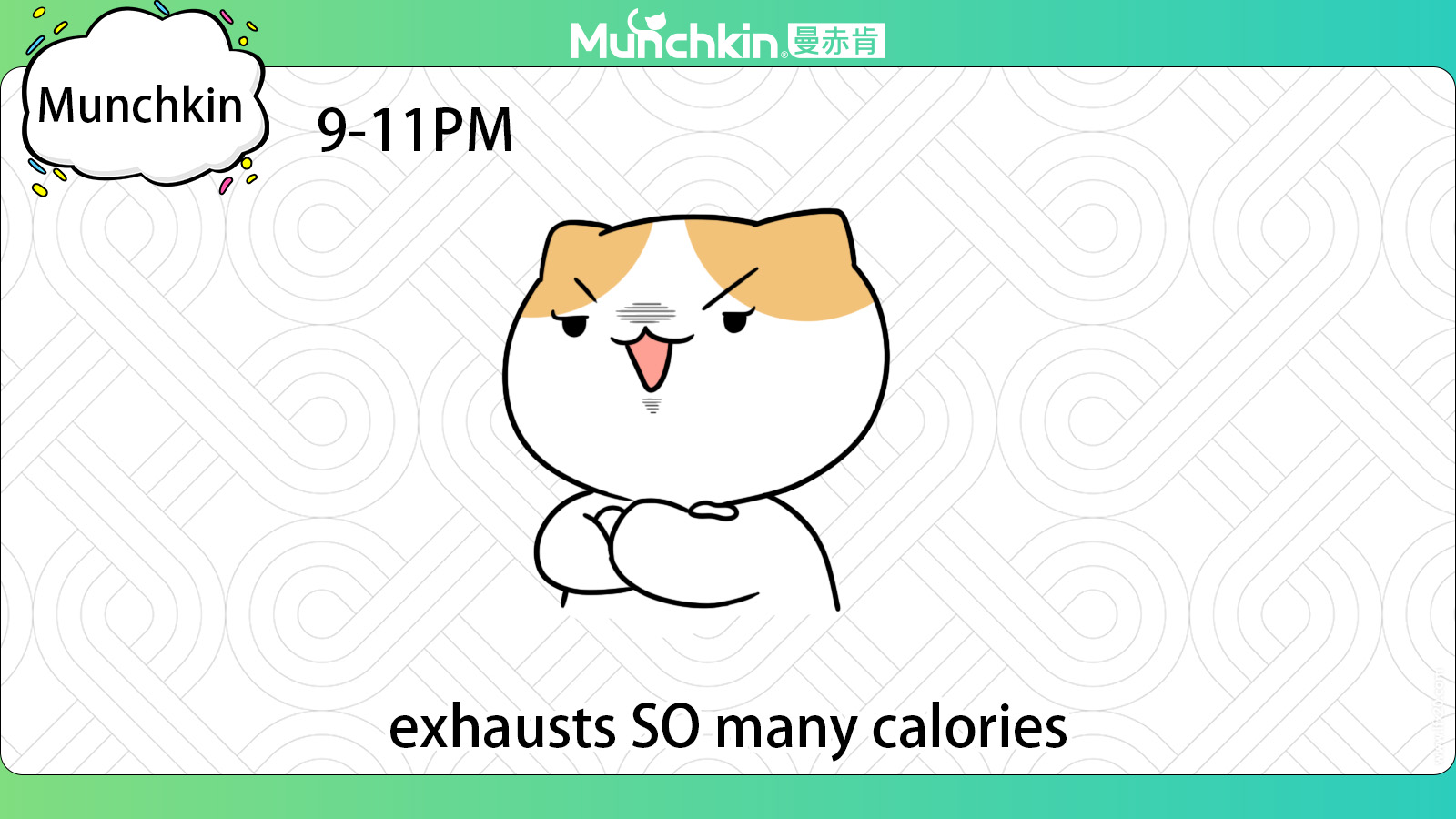 munchkin veterinary food