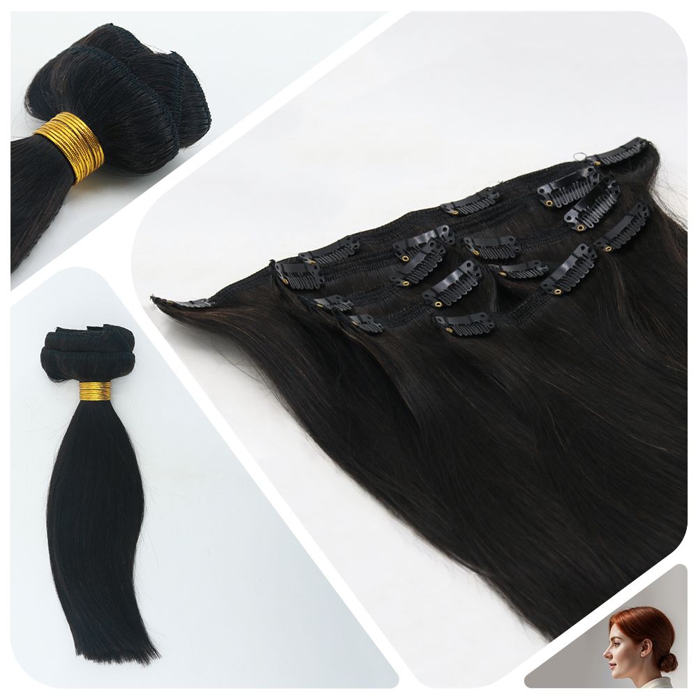 LE2 Classic Clip in Hair Extension 