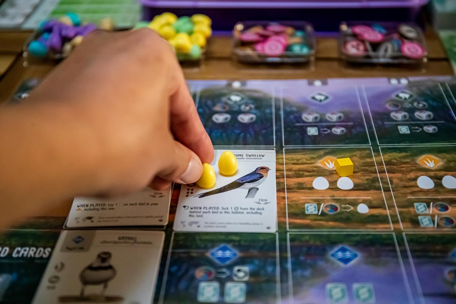Stonemaier Games: Wingspan Oceania Expansion by Elizabeth Hargrave