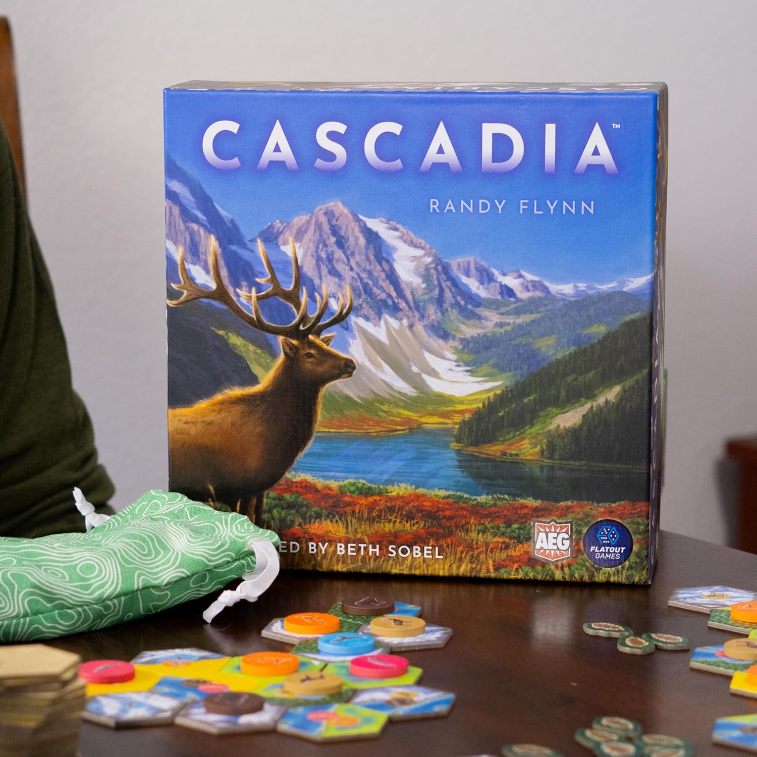 Cascadia, Award-Winning Cozy Nature Board Game Set in the Pacific Northwest