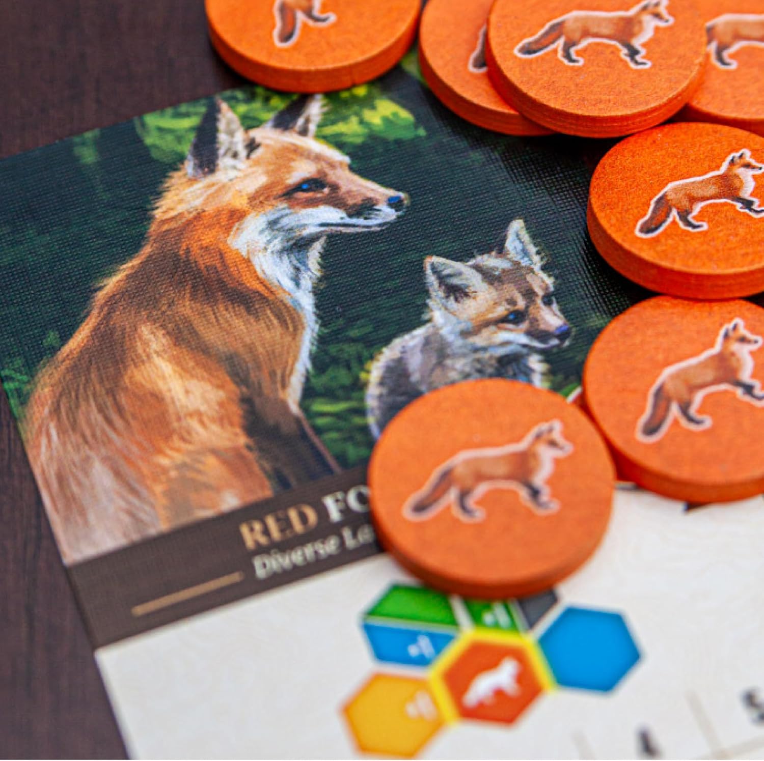 Cascadia, Award-Winning Cozy Nature Board Game Set in the Pacific Northwest