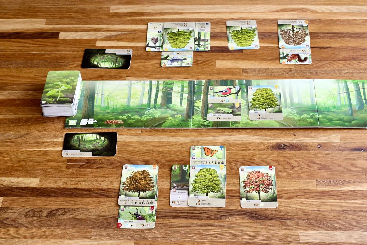 Lookout Games Forest Shuffle Card Game - Create an Ecological Paradise! Clever Strategy Game