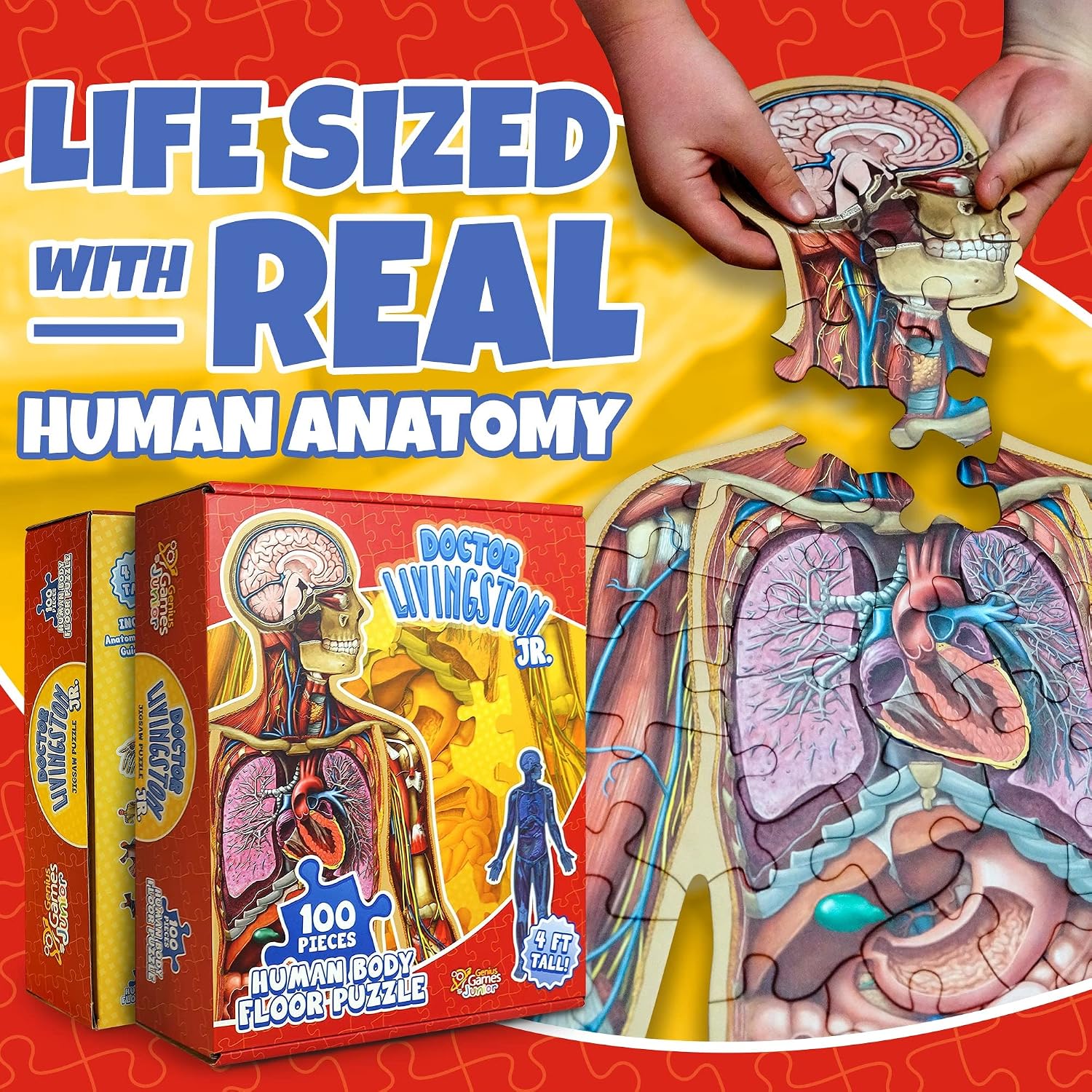 Human Anatomy Kids Floor Puzzle - Dr Livingston Jr's 100-Piece Full Body Jigsaw Puzzle - 4 FT Medically Accurate Floor Puzzles