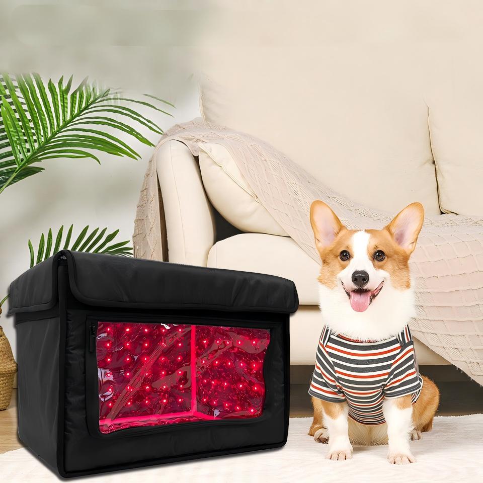 Foldable Pet Red Light Therapy Box
