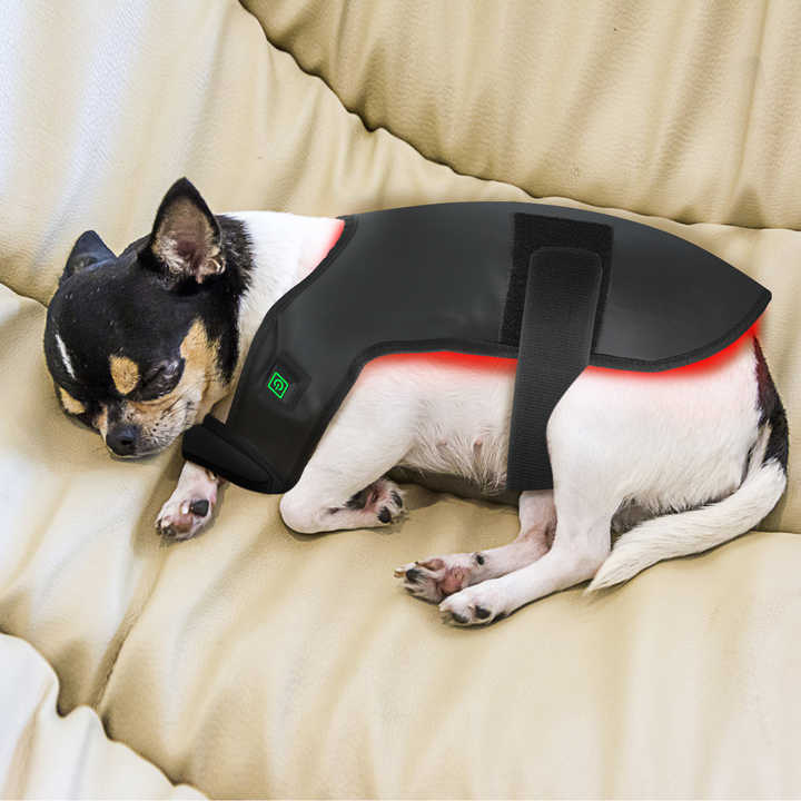 Pet red light treatment pad