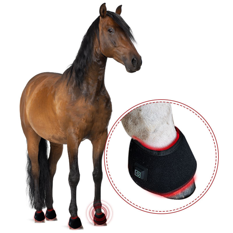 Equine Red Light Therapy Wrap for Horse