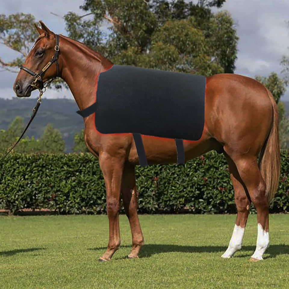 Equine led red light therapy pads