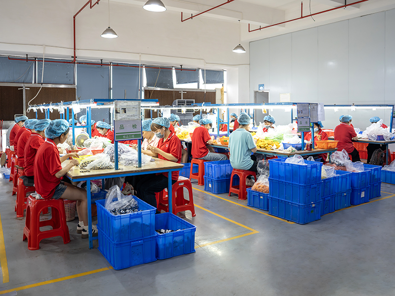 Quality Inspection Department