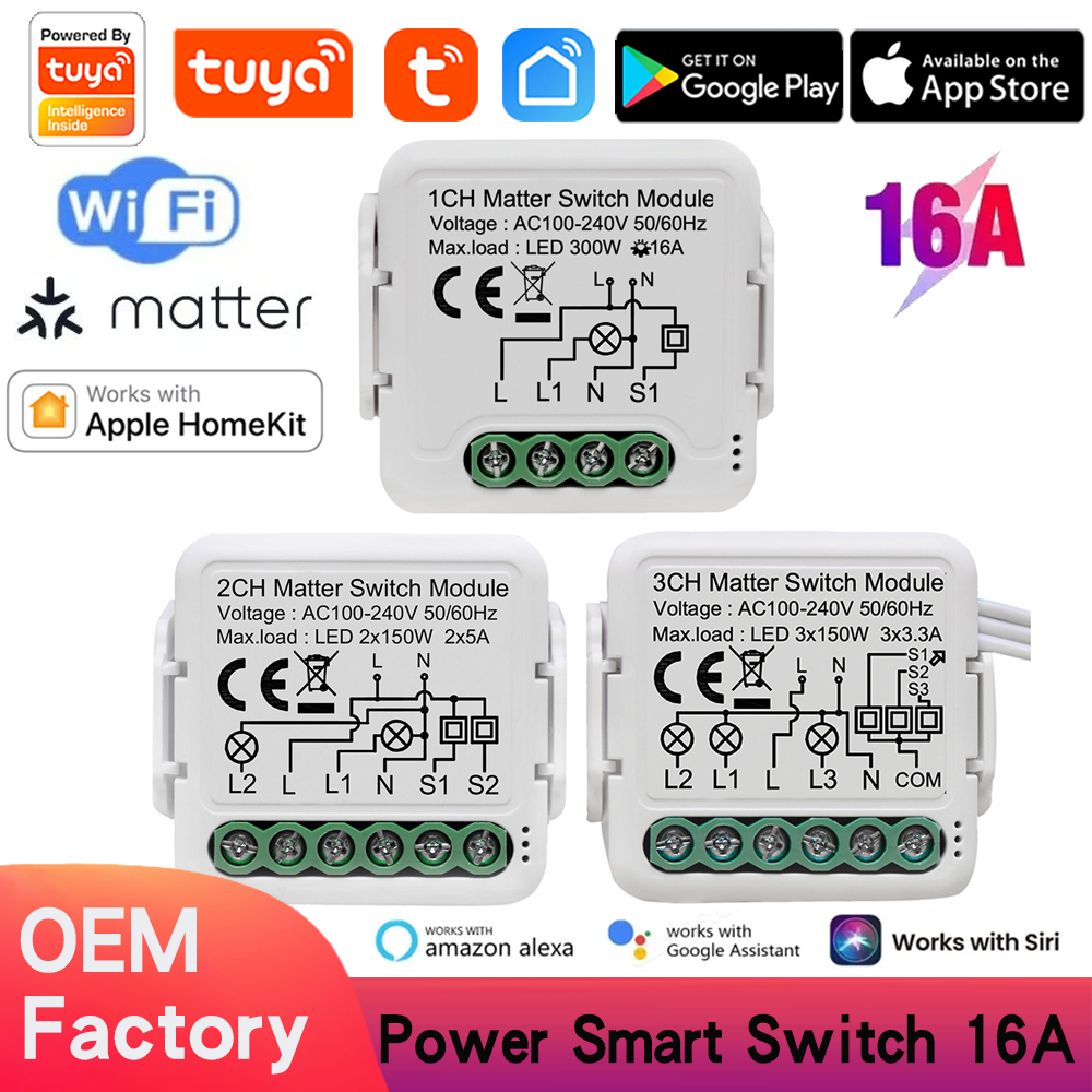 Matter WiFi Smart Switch Module 16A Home Automation Smart Light Switch Relay Breaker Works with Homekit Siri Alexa Google Home