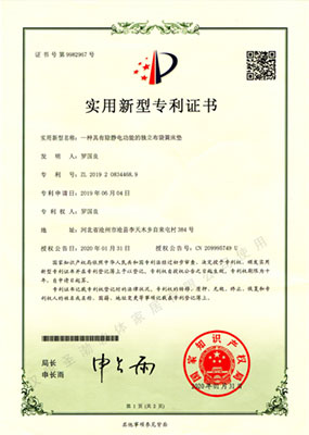 Patent Certificate 3