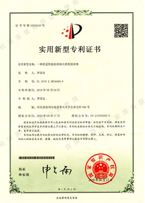 Patent Certificate 1