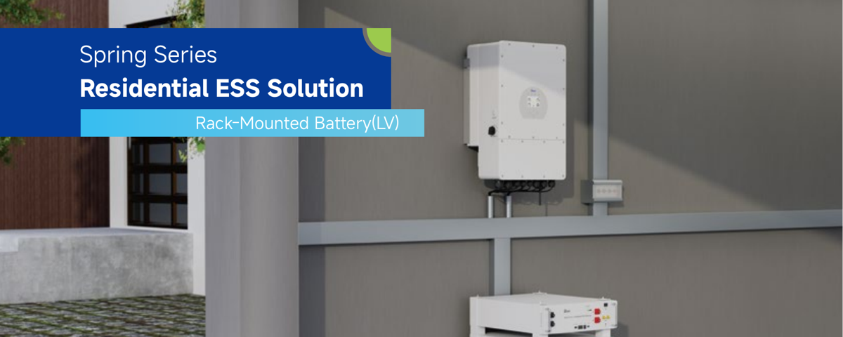 Deye SE-G5.1 Pro-B low-voltage rack-mounted battery system