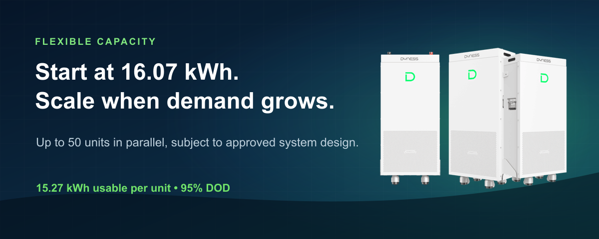 Three official Dyness PowerBrick Plus product views on a capacity expansion banner