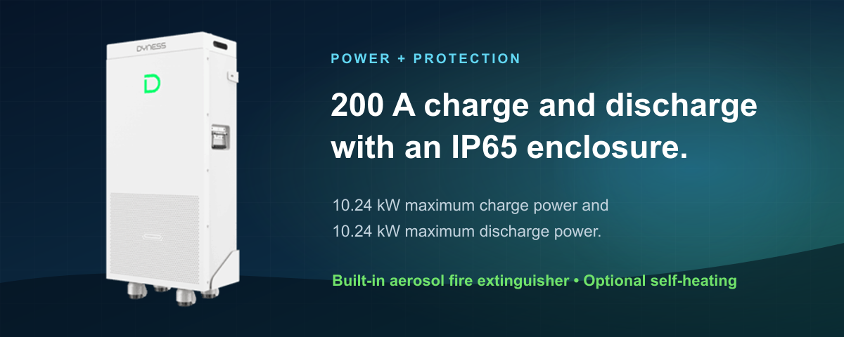 Official Dyness PowerBrick Plus product view with power and protection specifications