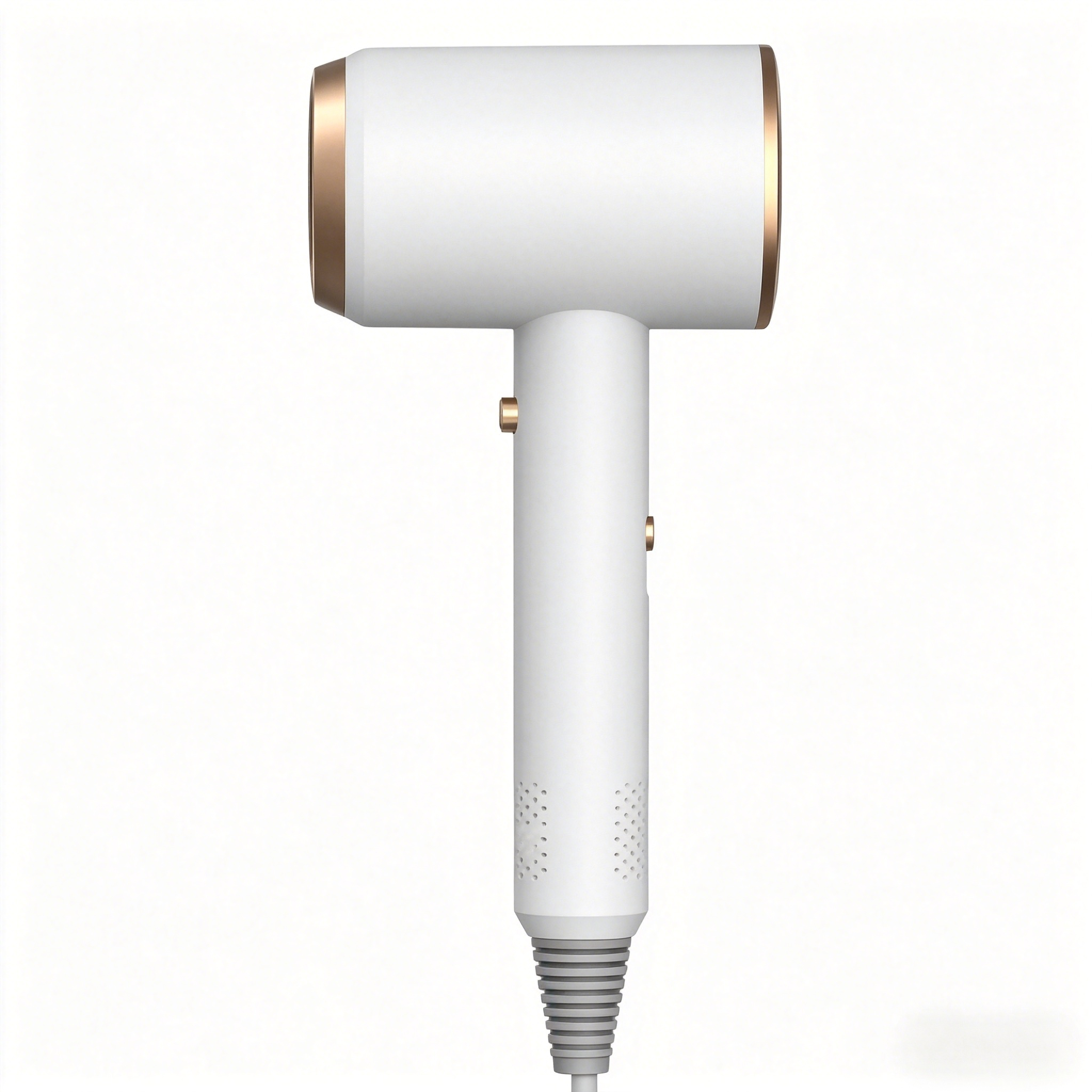 Professional Ionic Hair Dryer 