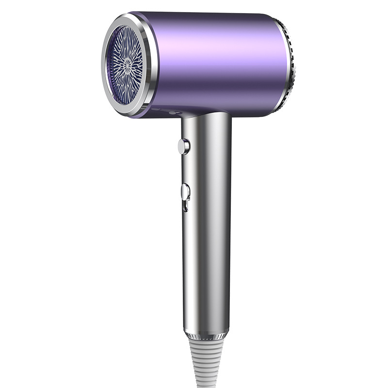 Negative Ion Blow Dryer | Frizz-Free, Fast Drying