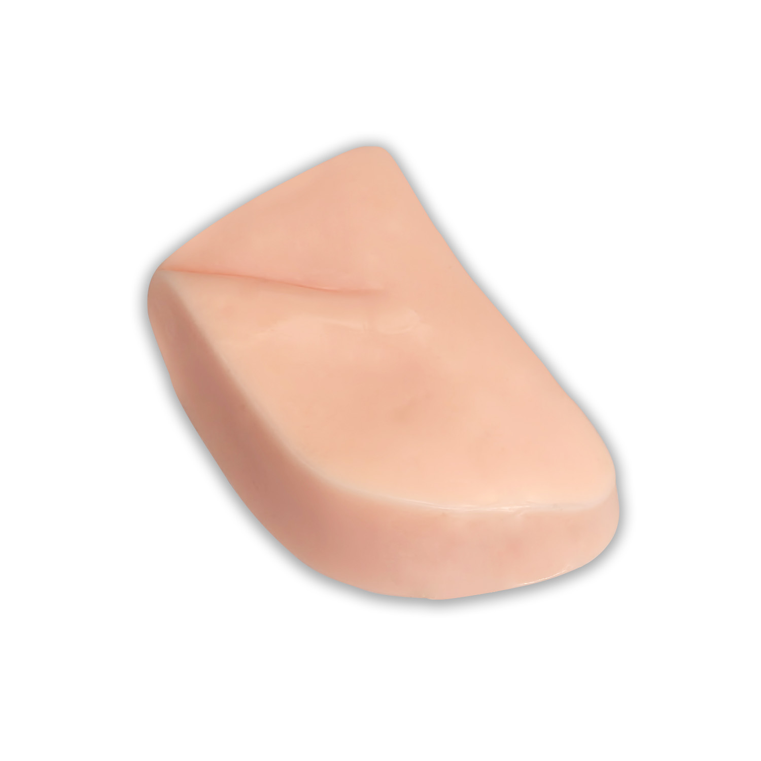 Ultrasound-Guided Femoral Artery and Vein Puncture Model