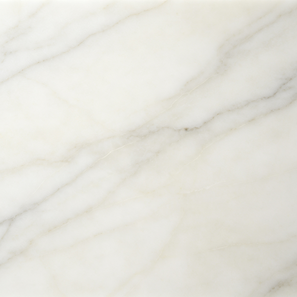 S009
