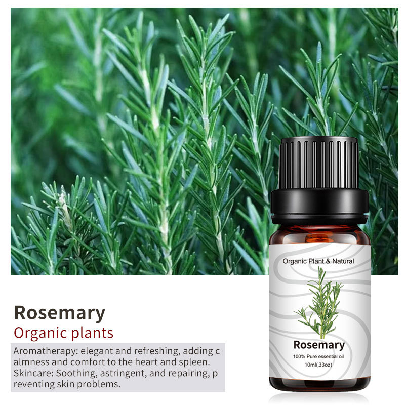 Unilateral Plant Rosemary Essential Oil Fragrance Neutral Packaging Aromatherapy Diffuser Massage 10ml