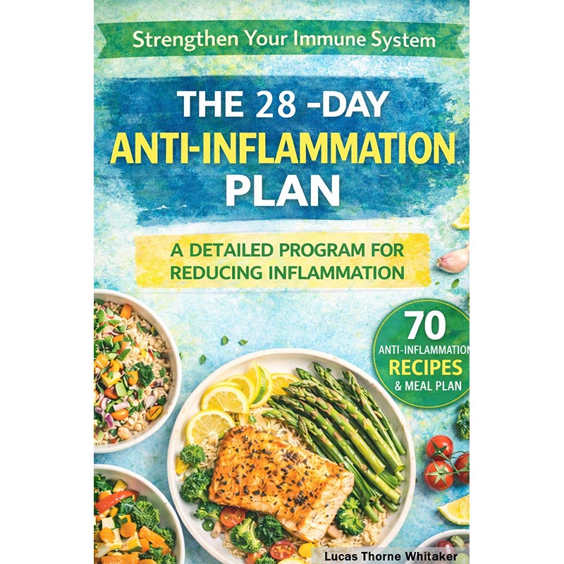 The Lifestyle Repair Plan: Restore Balance & Improve Your Life