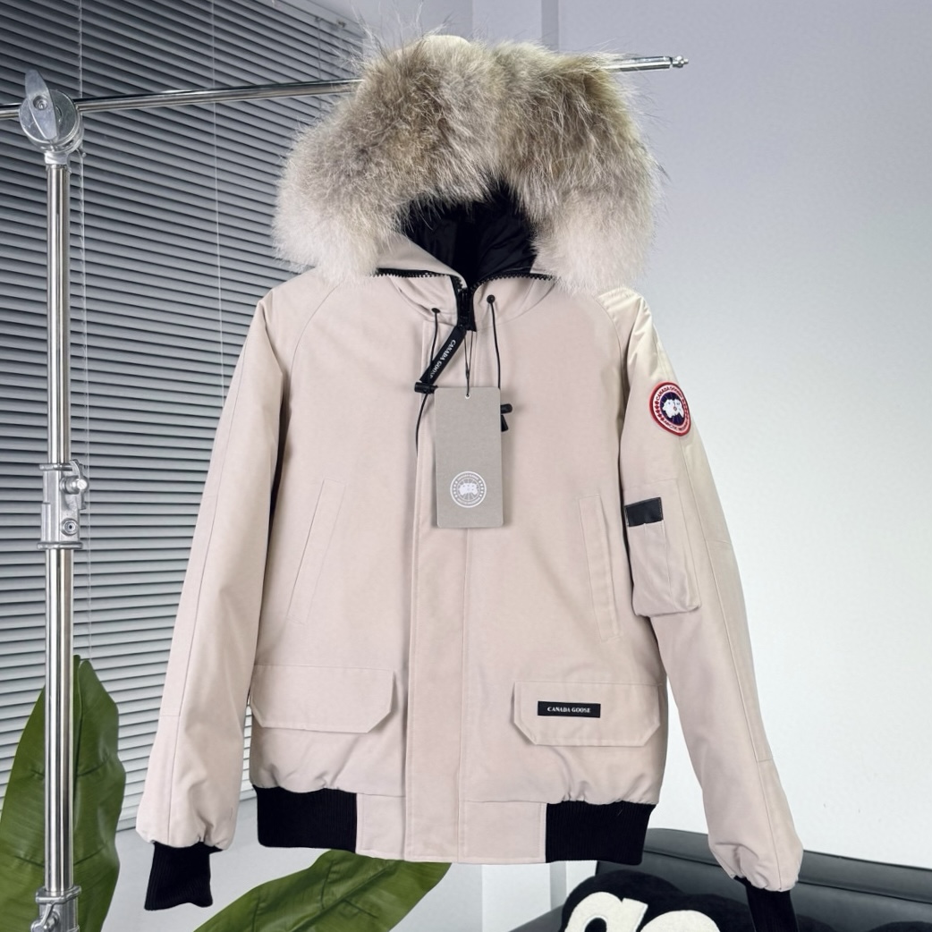 CANADA GOOSE | Chilliwack 01 Pilot down jacket_BEIGE
