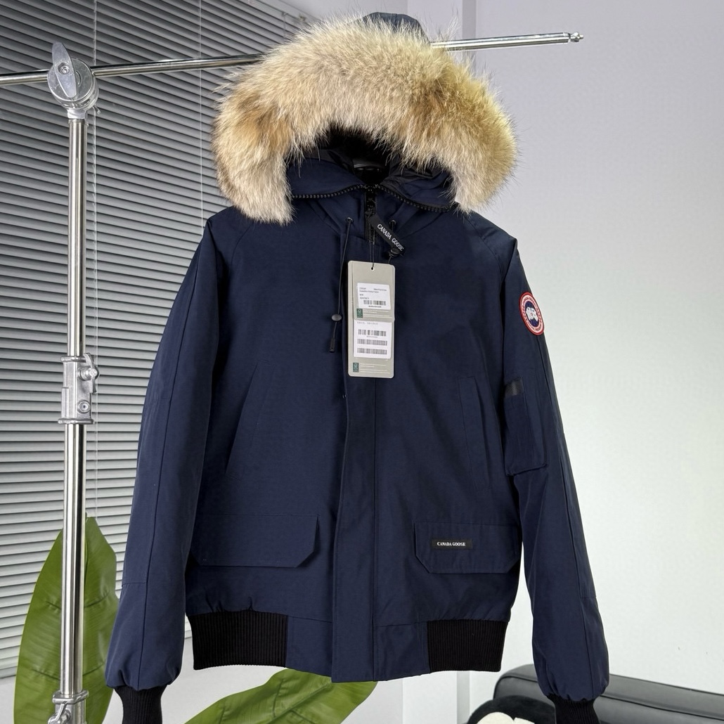CANADA GOOSE | Chilliwack 01 Pilot down jacket_NAVY BLUE