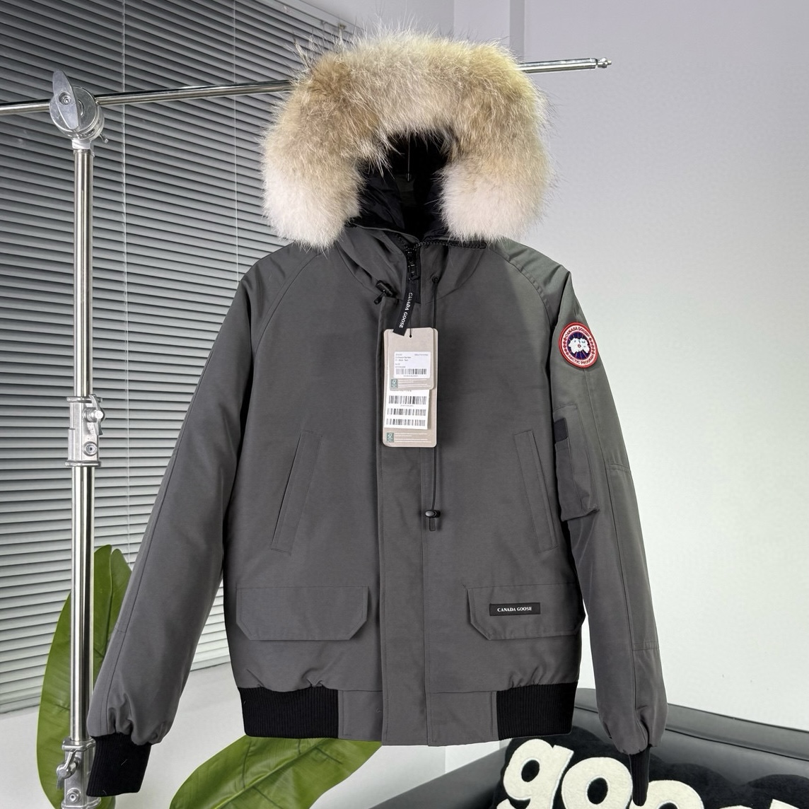CANADA GOOSE | Chilliwack 01 Pilot down jacket_GRAY