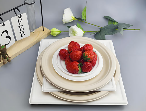 Sugarcane bagasse circular plate