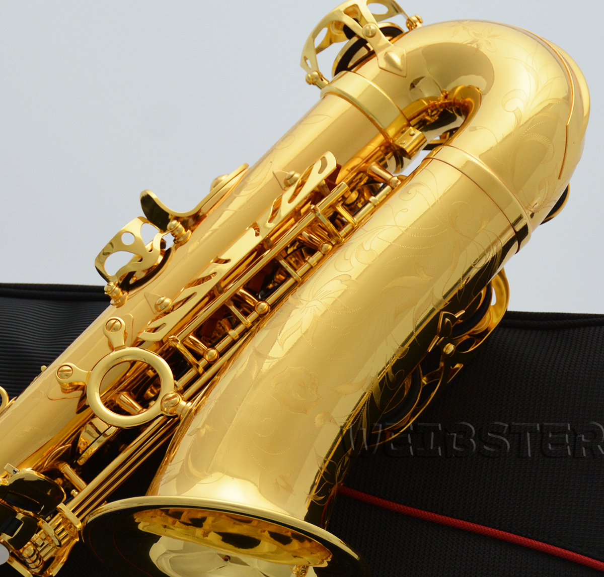Professional 54 Reference Alto Saxophone Eb Lacquered Sax Flight Case