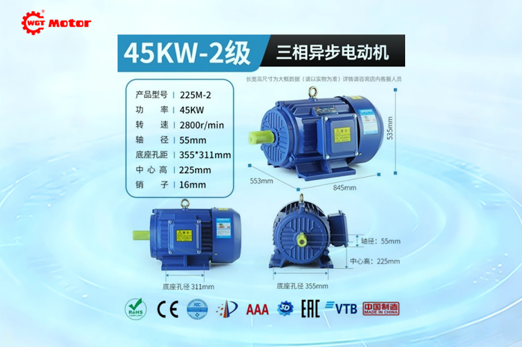 45KW 2-pole 2800rpm Drawings